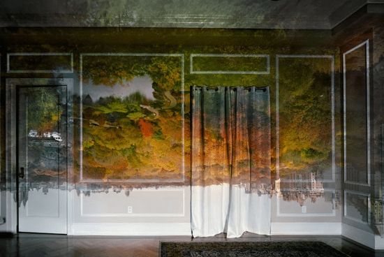 Screen Shot 2017-08-06 at 10.53.22 AM.png