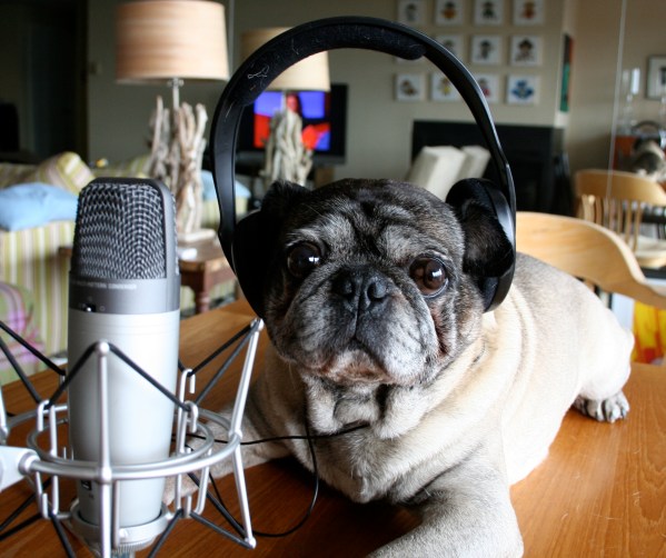 2265202595_01ff03e808_o