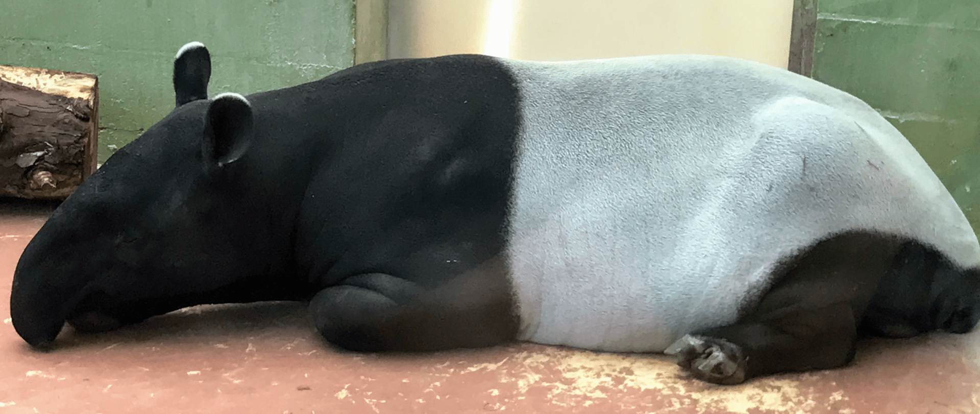 Screen Shot 2018-02-10 at 8.20.40 AM